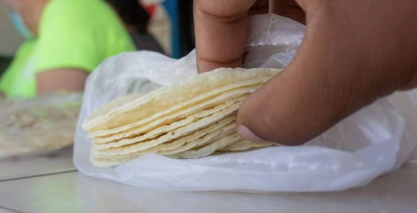 Kilo de tortilla ya se vende hasta en 30 pesos