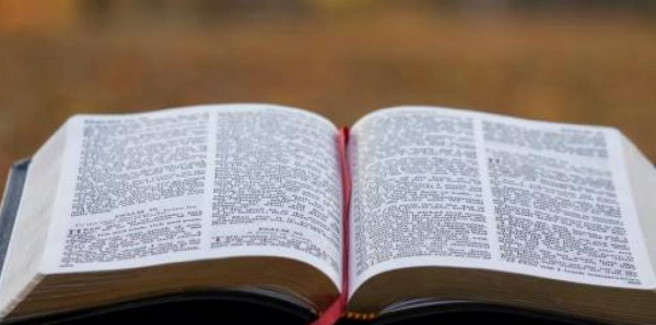 Edición de la Biblia con lenguaje inclusivo causa polémica