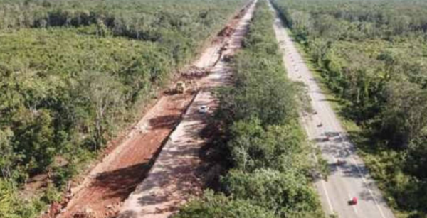 Juez acepta demanda contra constructoras del Tren Maya; les reclaman 27 mil mdd por daño ambiental