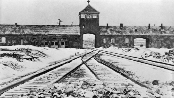 Encuesta: El 20% de los jóvenes estadounidenses piensan que el Holocausto es un mito