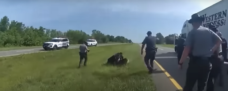 Policía de EU ordena a un perro atacar a un afroamericano con las manos en  alto | Omnia