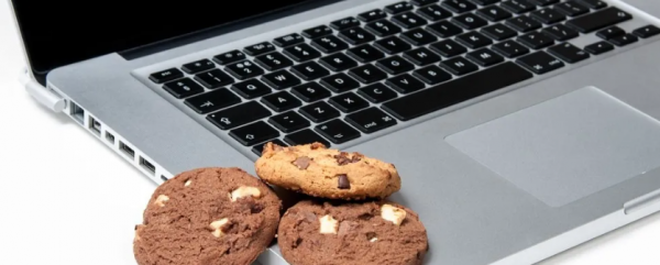 Cookies, un riesgo al navegar por la red