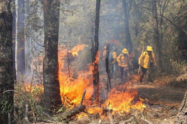 Incendios forestales afectan 817 hectáreas de zonas naturales protegidas en Morelos