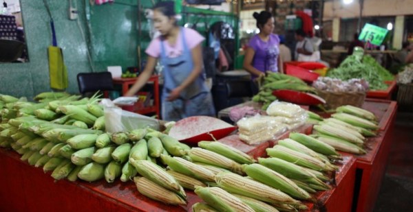 La resolución sobre la disputa comercial de EU con México por el maíz transgénico podría emitirse en septiembre, afirma Buenrostro