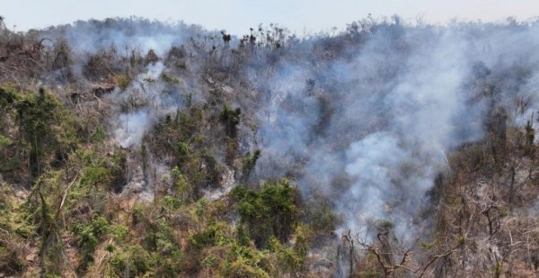 Reportan varios incendios en parque nacional de Acapulco; suspenden clases para hoy