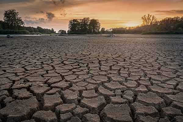 Cambio climático y sequía, desafíos para la sobrevivencia de la humanidad