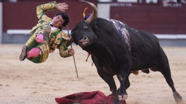 El torero mexicano Isaac Fonseca sufre cornada de 20 centímetros por la espalda en Madrid; lo reportan grave