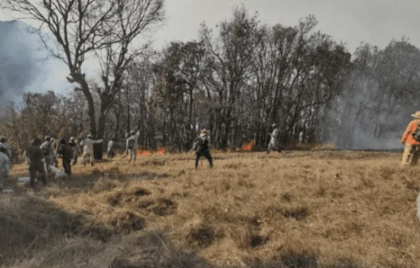 Tras 100 horas del incendio forestal en Oaxaca, continúan labores de combate