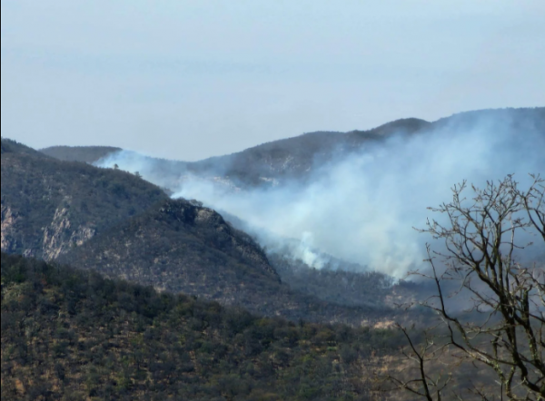 Incendio en la Sierra de Santa Rosa, Guanajuato, ya afectó 2 mil hectáreas