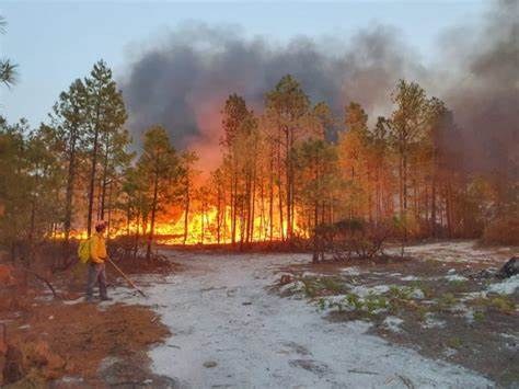 Registra SDR 3 incendios forestales activos en Bocoyna y Guachochi