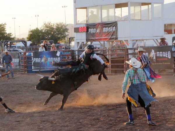 Participan chihuahuenses en campeonato internacional de monta de toros en Feria de Santa Rita
