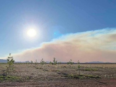 Incendios forestales: Humo visible en Casas Grandes, Chihuahua