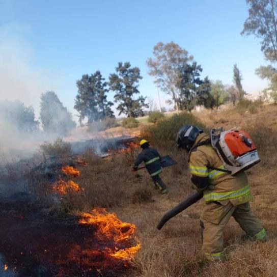 Sofocan cuatro incendios forestales en Texcoco; investigan si fueron provocados