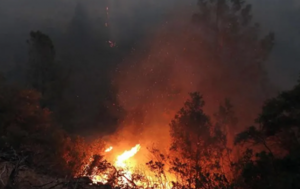 Canadá tiene 87 incendios forestales activos; seis están fuera de control