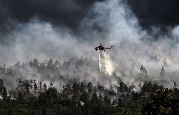 Exige Ana Lilia Herrera al Gobierno Federal atender y prevenir incendios forestales