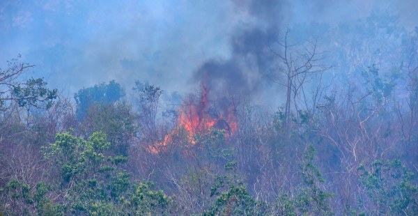 Se registran 204 incendios forestales activos en el país: Conafor