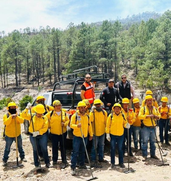 Impartirán curso para prevenir, detectar y combatir incendios en la Sierra Tarahumara