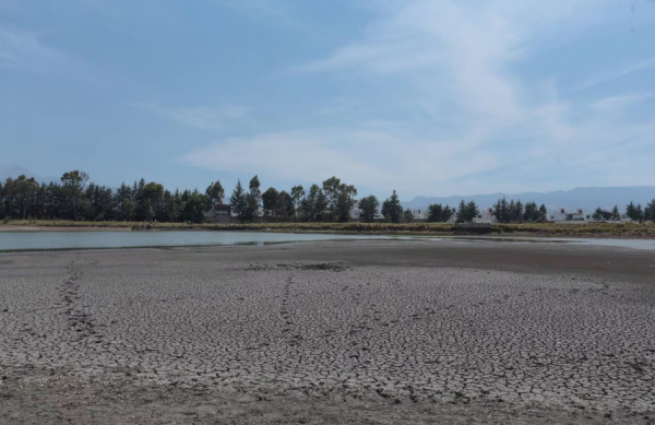 Crisis del agua en México: Agropecuarios piden un Plan Nacional Hídrico a 15 años por las sequías