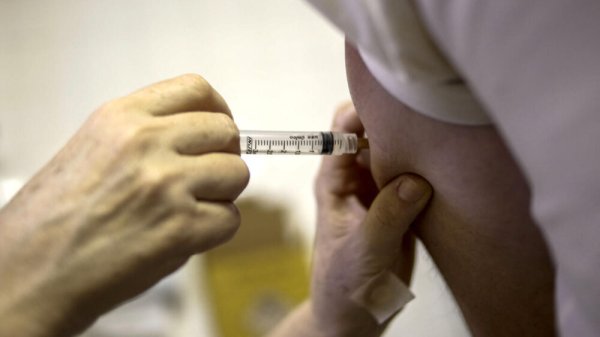 Colombia declara emergencia sanitaria tras muerte de 34 personas por fiebre amarilla
