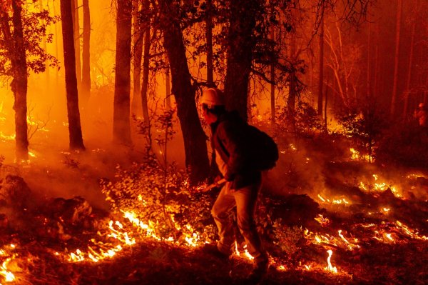 Registra SDR 289 incendios forestales en lo que va de 2025