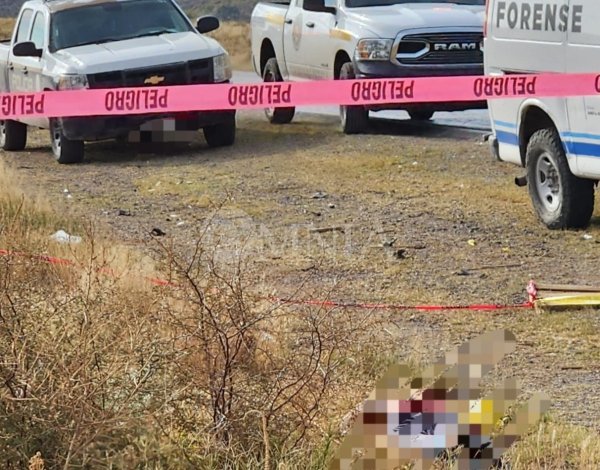 Van 15 mil 116 homicidios dolosos durante el sexenio de Claudia Sheinbaum: TRI