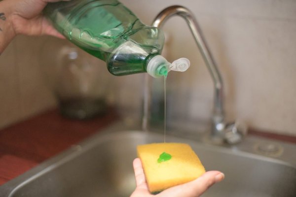 La UACH te dice cómo usar desinfectante en alimentos de forma segura en el hogar