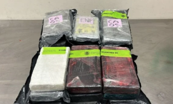 Autoridades aduaneras de EU incautan 850 mil dólares en cocaína en camioneta proveniente de México