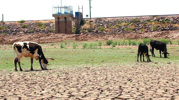 Consejo estatal de Protección Civil solicita declarar emergencia por sequía en Querétaro
