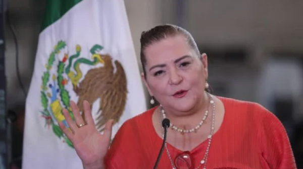 INE espera una “participación altamente copiosa” para la elección judicial: Taddei