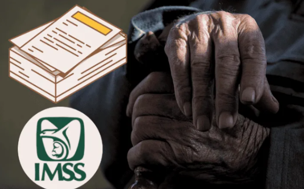 IMSS: ¿Cómo se tramita el certificado de supervivencia en 2025?