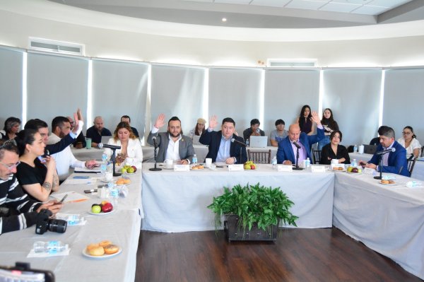 Aprueban acuerdo para realizar Consulta Estrecha y de Colaboración Activa de Personas con Discapacidad 2025