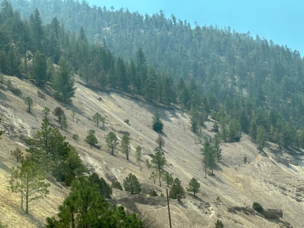 Continúan los incendios forestales en la Sierra; suman ya 13 casos activos