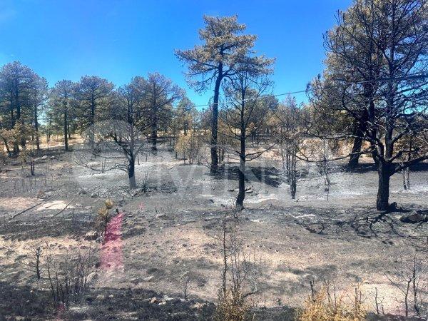 Incendios en la región de Bocoyna (Videos)