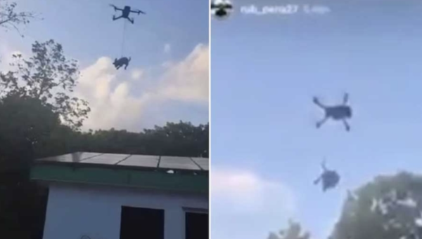 ¡Qué chistositos! En Quintana Roo, jóvenes elevan a un perro con un dron