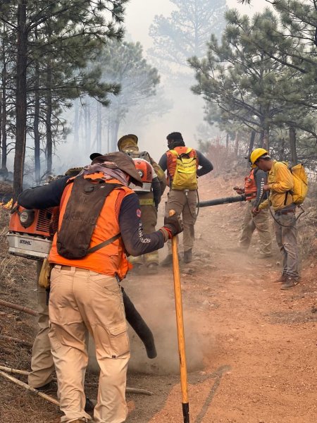 CEPC emite recomendaciones para prevenir incendios forestales