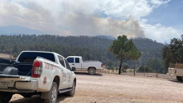 CEPC realiza evaluación de daños tras incendios forestales en Bocoyna