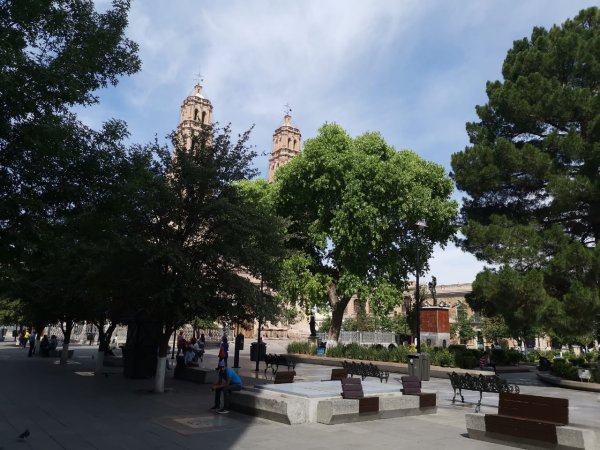 Lunes, con máxima de 31 grados centígrados y viento