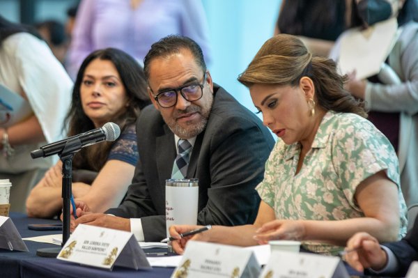 Se aprueba en Comisiones iniciativa presentada por Juan Carlos Loera para reformar la Ley Federal de Armas de Fuego y Explosivos