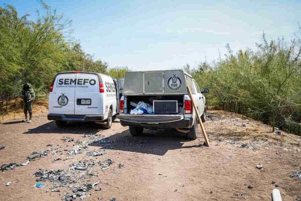 Localizan cuatro cuerpos en diferentes puntos de Sinaloa y asesinan a una mujer en el municipio de Concordia