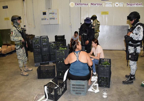 Plan Michoacán: fuerzas federales aseguran vehículos y explosivos; hay 4 detenidos