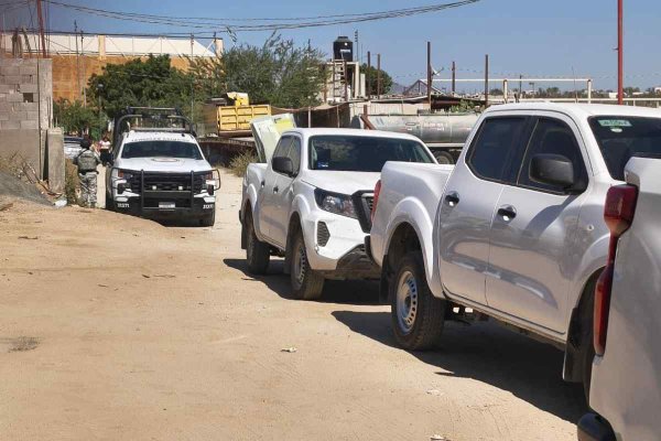 Aseguran a un jaguar, un león y otras especies exóticas halladas en predio de Baja California Sur