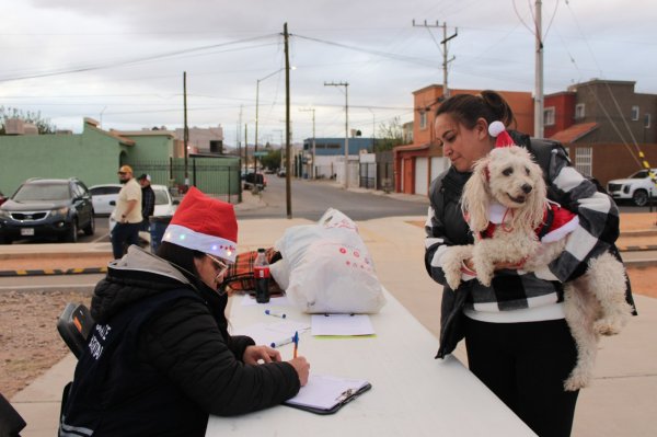 Perros y gatos encuentran familia en evento “Navidad de Pelos” del Gobierno Municipal