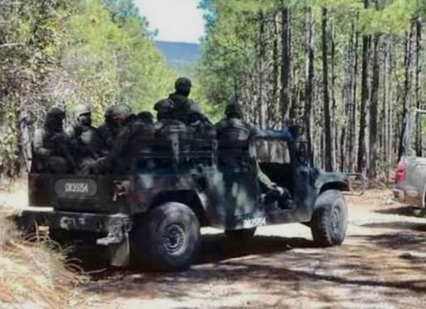 Enfrentamiento en Madera entre La Línea y Los Pumas