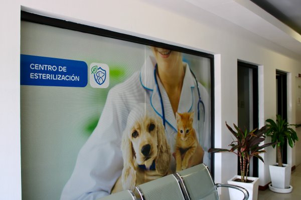 Llevará Municipio Esterimóvil para esterilizaciones gratuitas a colonia Minerales