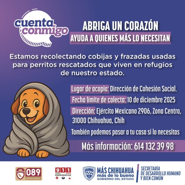 Concluye mañana campaña de recolección de cobijas y frazadas para perritos rescatados