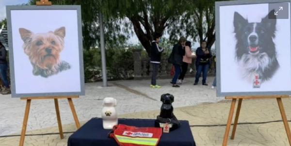 Tribunal busca reducir la pena al sujeto que envenenó a los perros rescatistas Athos y Tango