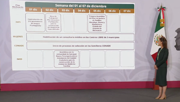 Gobierno detalla los avances de las acciones del Plan Michoacán: ¿Cómo va?
