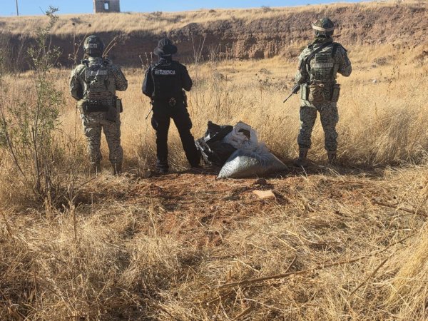 Asegura SSPE 35 kilogramos de presunta marihuana en Guerrero