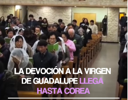 (Video) Sorprende en redes la devoción de la Virgen de Guadalupe en Corea