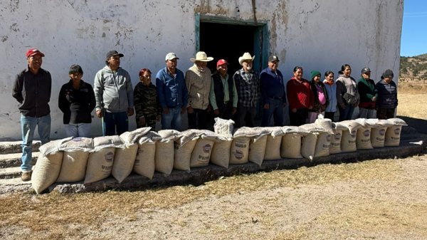 Respalda Estado a 240 familias indígenas de Guerrero con entrega de 4.8 toneladas de maíz y frijol